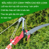 Bộ Đầu Kéo Cắt Cành Trên Cao Đài Loan Kèm Cưa Thép SK5 2 Trong 1