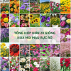 Hạt Giống Tổng Hợp Mix Hơn 20 Loại Hoa